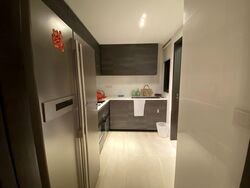 Sims Urban Oasis (D14), Condominium #623144511